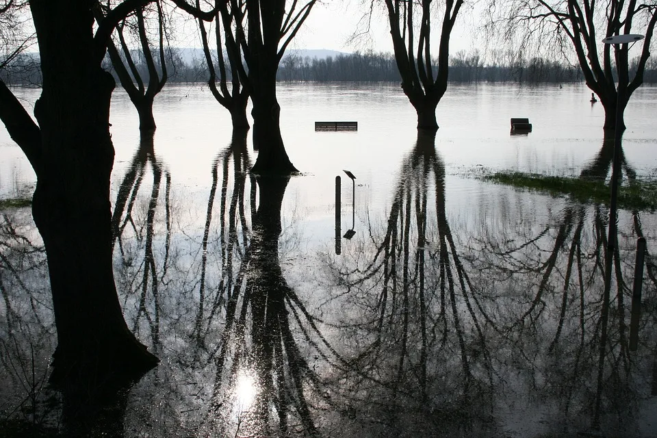 Hochwasser-Alptraum: Elbe und Oder steigen – Brandenburg in Alarmstimmung!