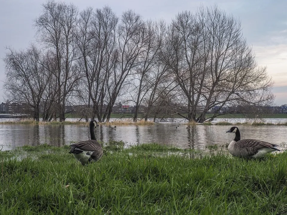 Hochwasser in Bayern: Isar-Pegel überschreitet warnenden Richtwert!