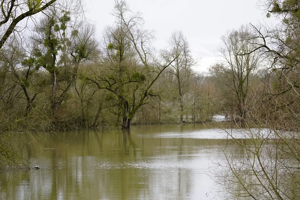 Hochwassergefahr in Sachsen: Regenschauer sorgen für alarmierende Pegelstände