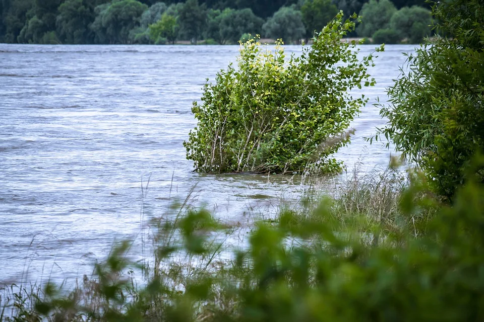 Hochwasserwarnung: Elbe bringt Fluten, aber MV bleibt vorbereitet!