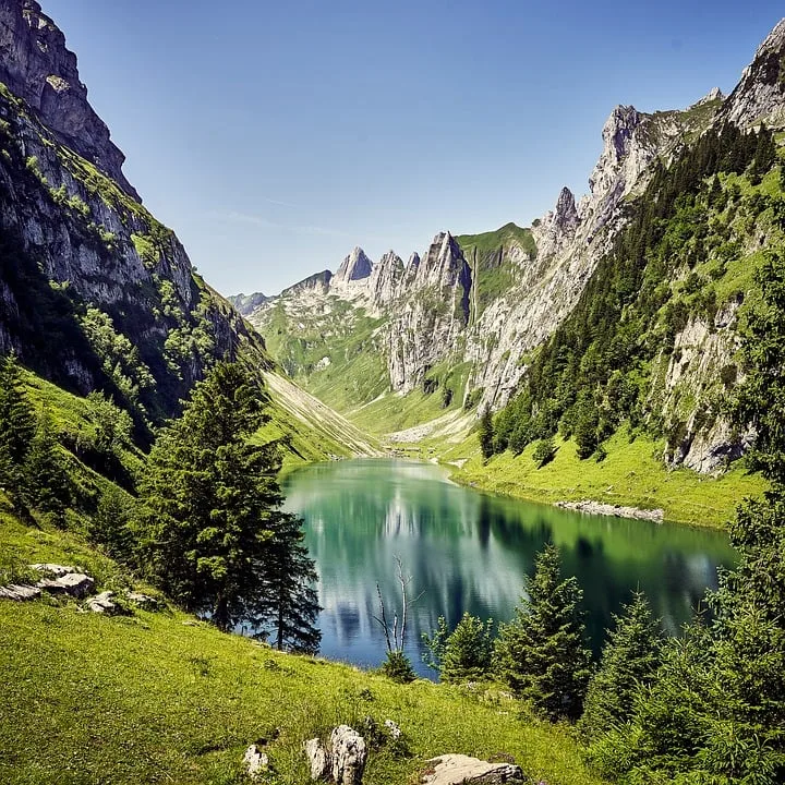 Jubiläumsschwingen in Appenzell: Hiltbrunner und Staudenmann triumphieren