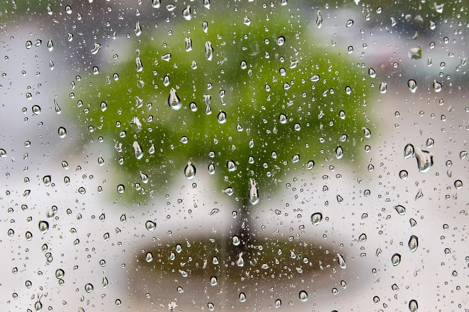 Kaltfront naht: Gewitter bringen unerwarteten Wetterumschwung in Rheinland-Pfalz