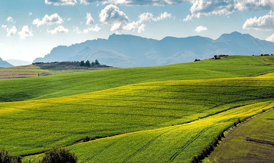 Landwirtschaft als Klimaretter: So können wir Emissionen drastisch senken!