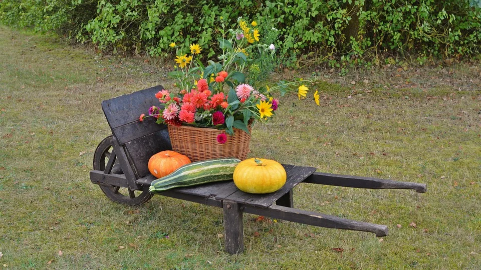 Lechrauschen-Festival: Füssens Ja zum Feiern trotz Regen und Kälte!