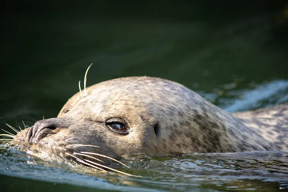 Liebeserklärung im Zoo: Christine genießt letzten Wunsch mit Freunden