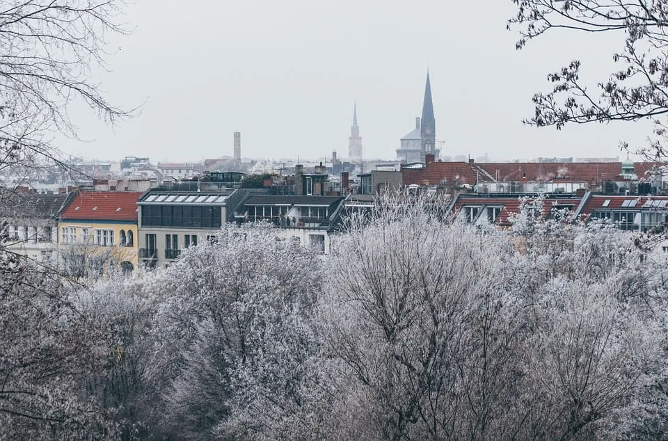 Limburgs Tauben-Kontroverse: Stadt plant nun Tötung der Stadttauben!