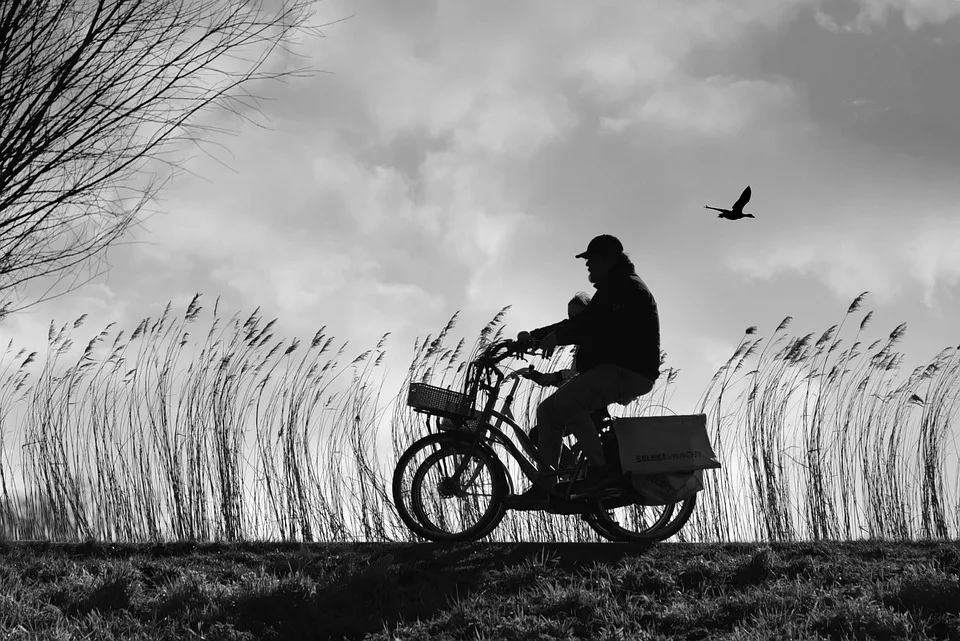 Löhne vor der Wahl: Fahrradstraße trotz Finanzkrise bauen oder stoppen?