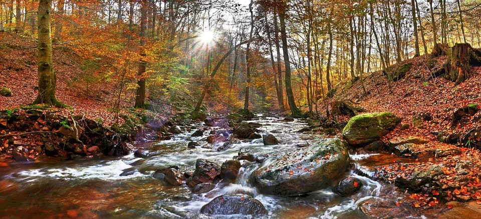 Moderne Erkundungen im Harz: Neue Perspektiven für den Bergbau