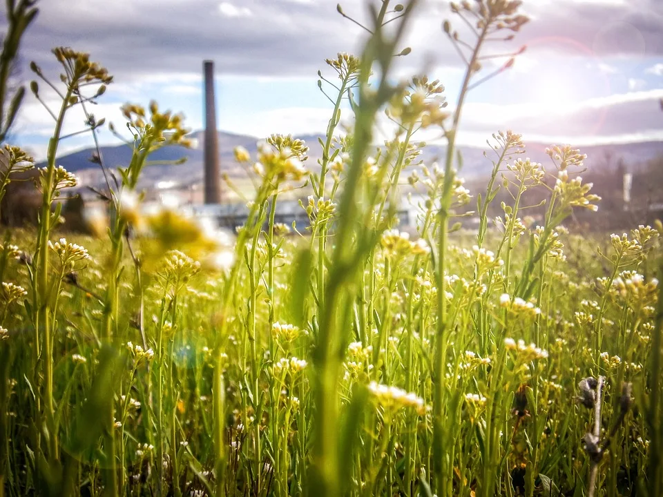 Nachhaltige Wohnkonzepte: Kürten plant feste Unterkünfte für Geflüchtete