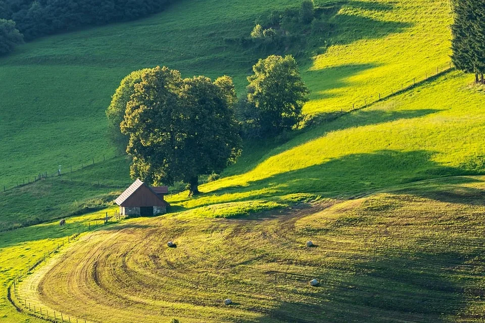 Neue politische Landschaft in Ostdeutschland: Zehn Erkenntnisse nach den Wahlen