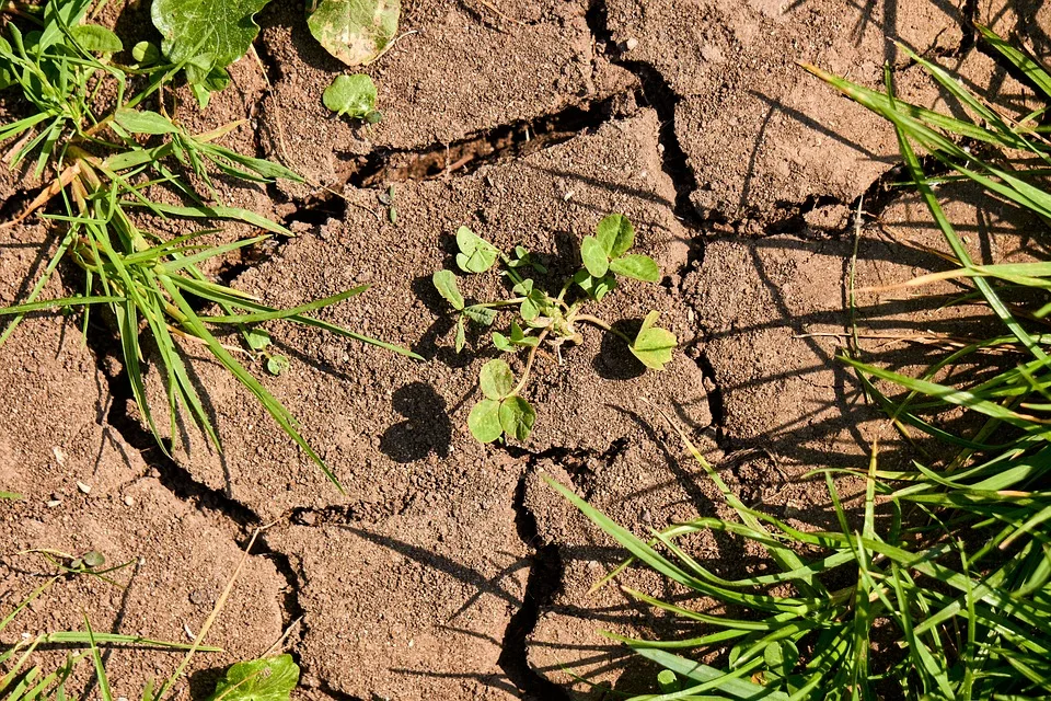 Nordhorn: Auszeichnung als „Klimaschutz-Leuchtturm 2024“ in Niedersachsen