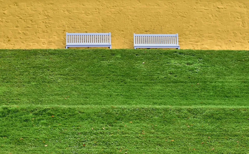 Park-Ärger in Greifswald: Urlauber kämpfen gegen hohe Gebühren!