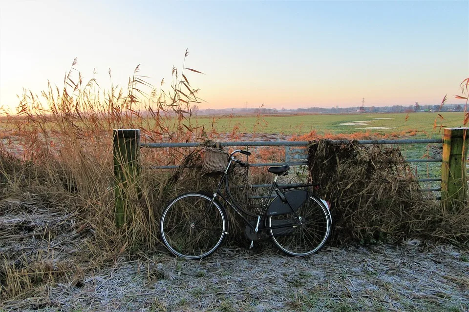 Radweg-Sanierung in Elze: Umleitungen für Radfahrer und Fußgänger!