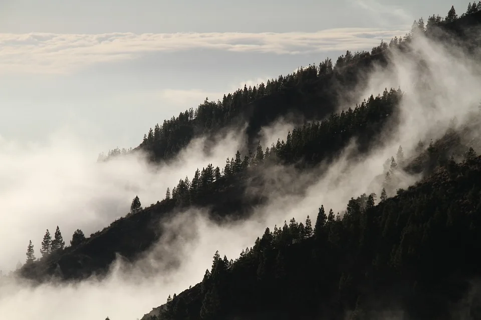 Regen bringt Hoffnung: Einsatzkräfte untersuchen Waldbrand am Brocken