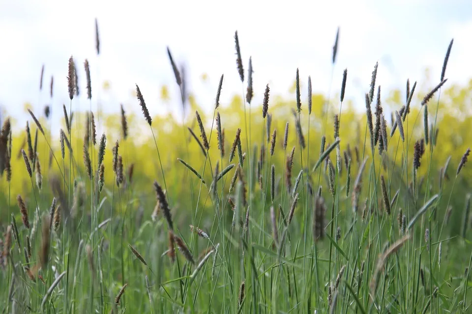 Sommerlicher Abschied: Gewitter und kühle Temperaturen stehen bevor