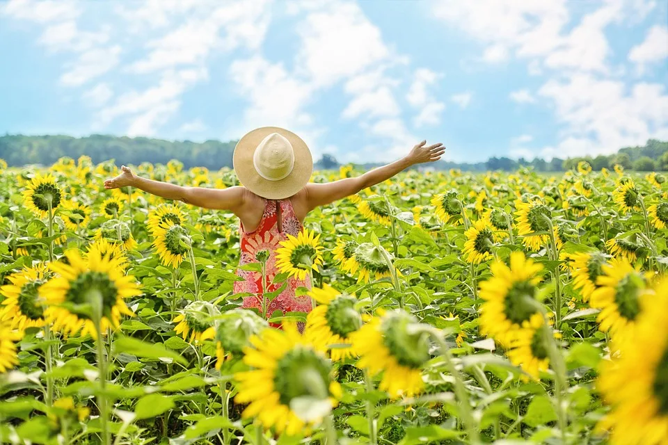 Sonnige Aussichten: Von Niesel bis Sonne für das Wochenende in NRW