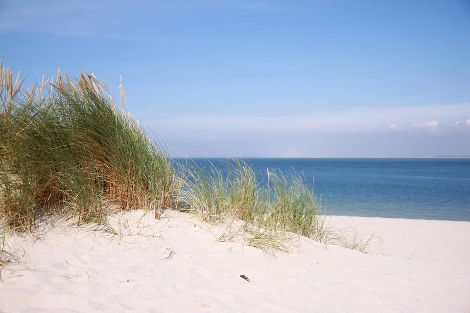 Sylt verhängt Inselverbot gegen Klimaaktivisten nach Flughafenprotest