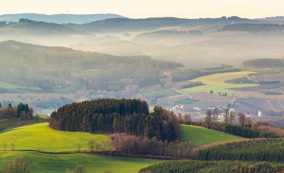 Umwelthelden geehrt: 1000 Euro für den Wald- und Wandel-Verein!