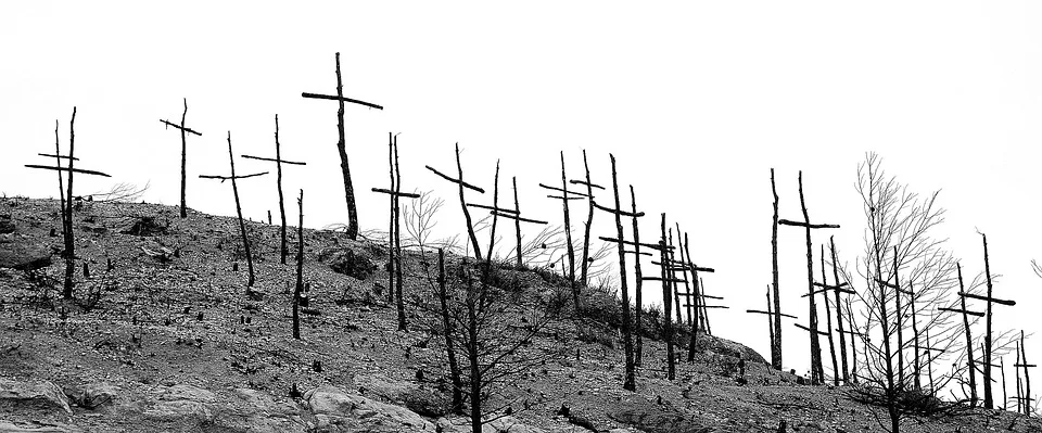 Waldbrand am Brocken: Einsatzkräfte hoffen auf Wetterwechsel mit Regen