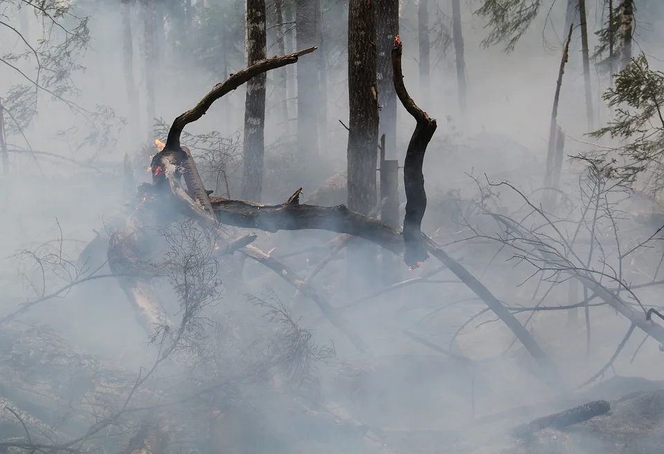 Waldbrand am Brocken: Nach Regenfällen ermitteln Einsatzkräfte Lage