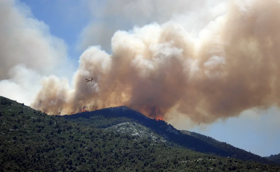 Waldbrand im Harz fast gelöscht: Regen gibt Hoffnung auf schnelle Kontrolle