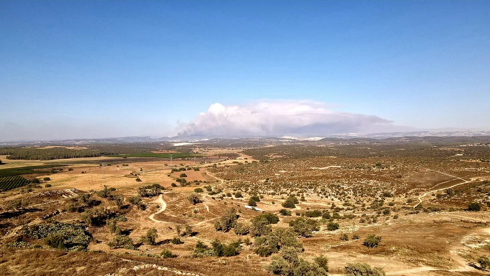 Waldbrand nahe Brocken: Evakuierung und Großalarm im Landkreis Harz