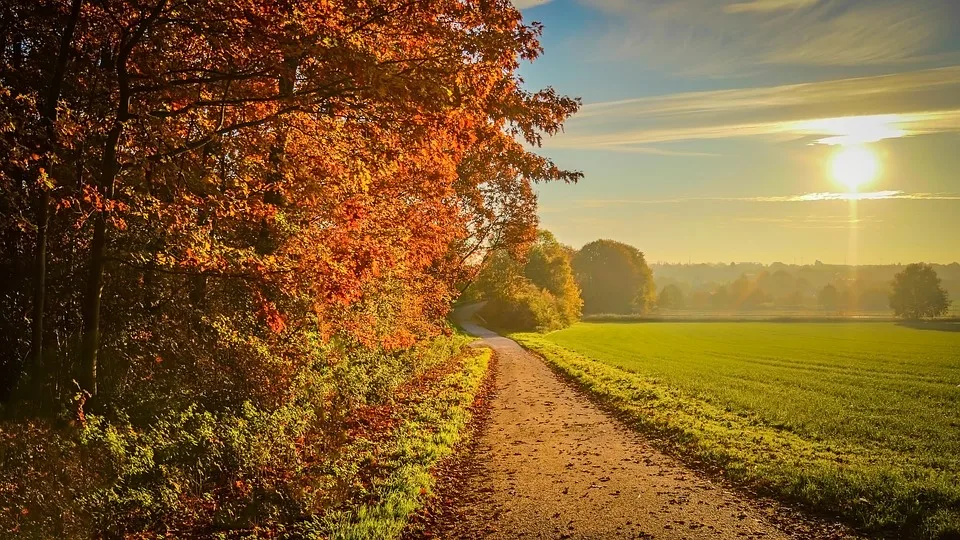 Wartburgkreis: Wichtige Termine und Veranstaltungen im September