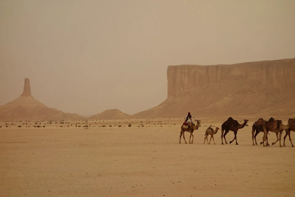 Weltweites KI-Gespräch: Saudi-Arabien führt Innovation voran!