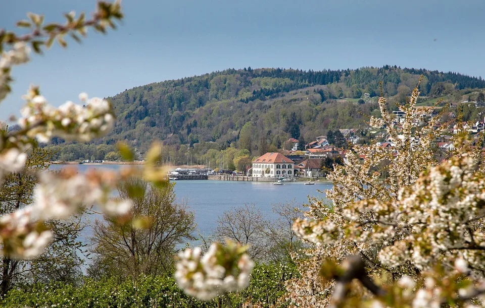 Westernhof Zollhaus: Ein Blick auf Marias Pferdeträume und Erfolge