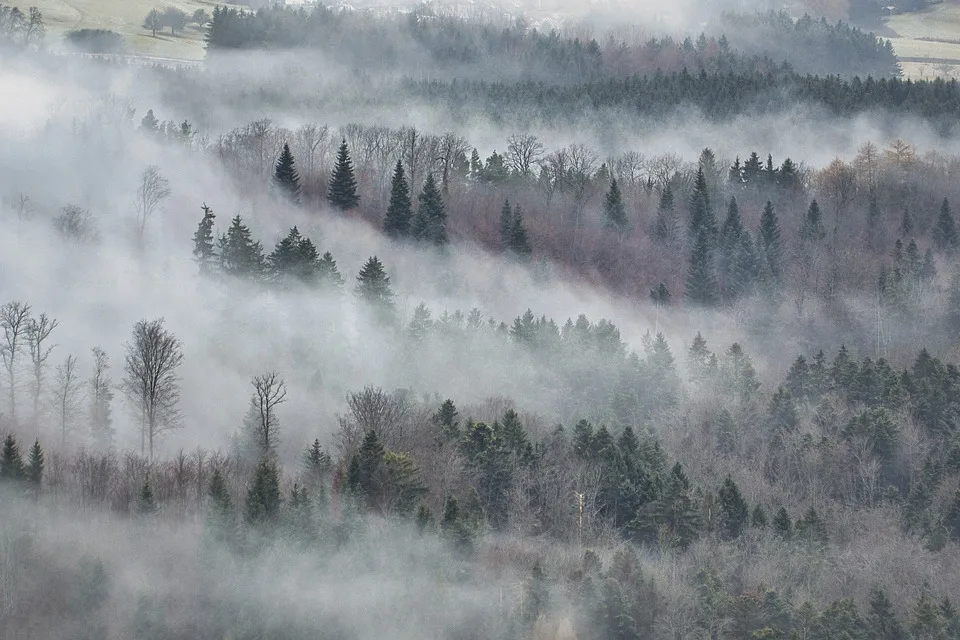 Wetterchaos in Sicht: Kommt der eiskalte Winter nach dem heißen Sommer?