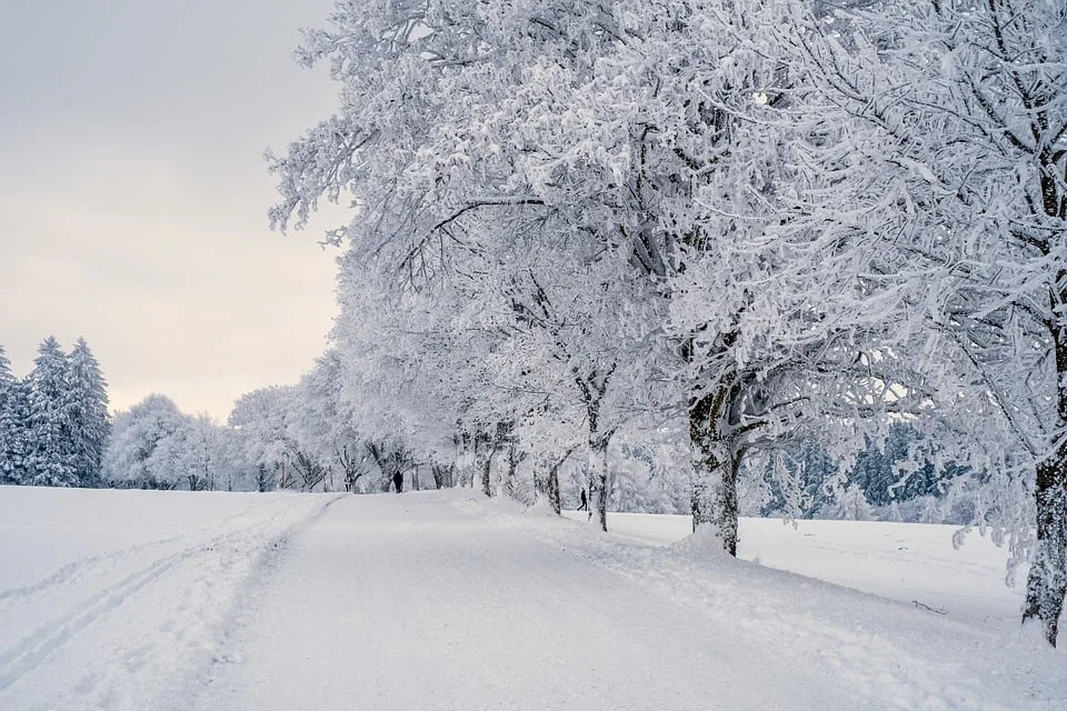 Winterwunder im Allgäu: Schneelandschaften und Lawinengefahr!