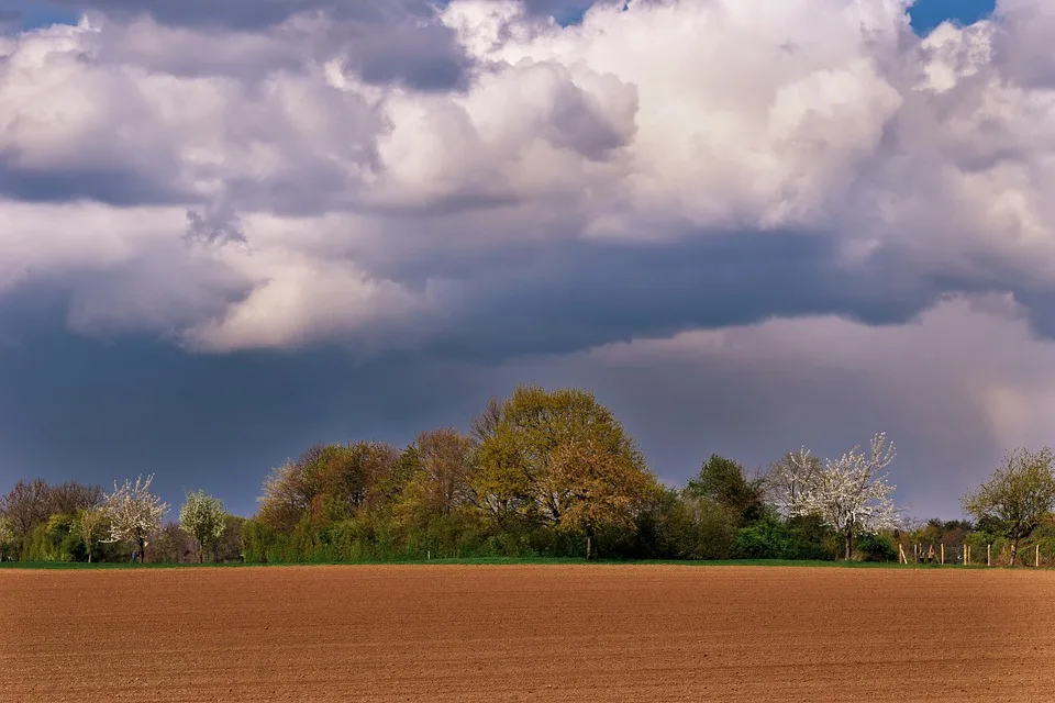 Wolkige Aussichten: Ein Blick auf das Wetter in Mannheim und Frankenthal