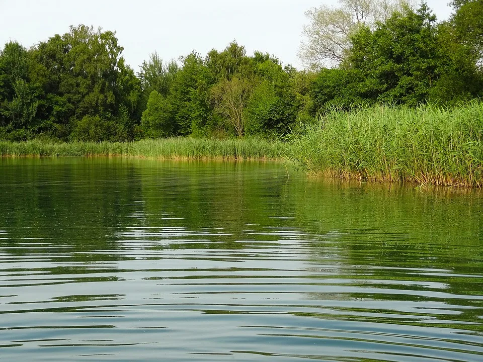 Wasserqualität in Leipzig: Experten geben Tipps und persönliche Beratung!