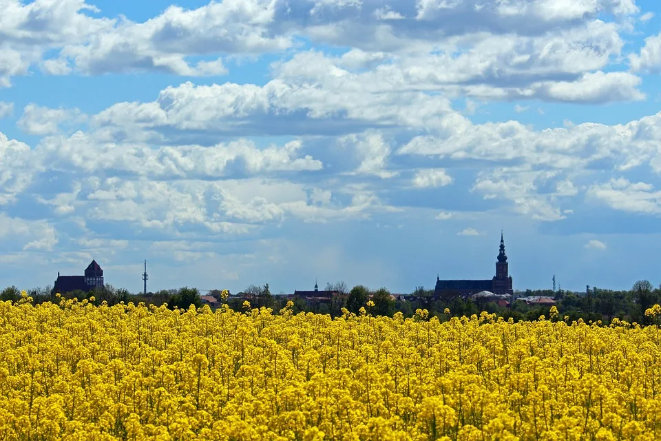 „Greifswald feiert 250 Jahre Caspar David Friedrich mit bunten Veranstaltungen“