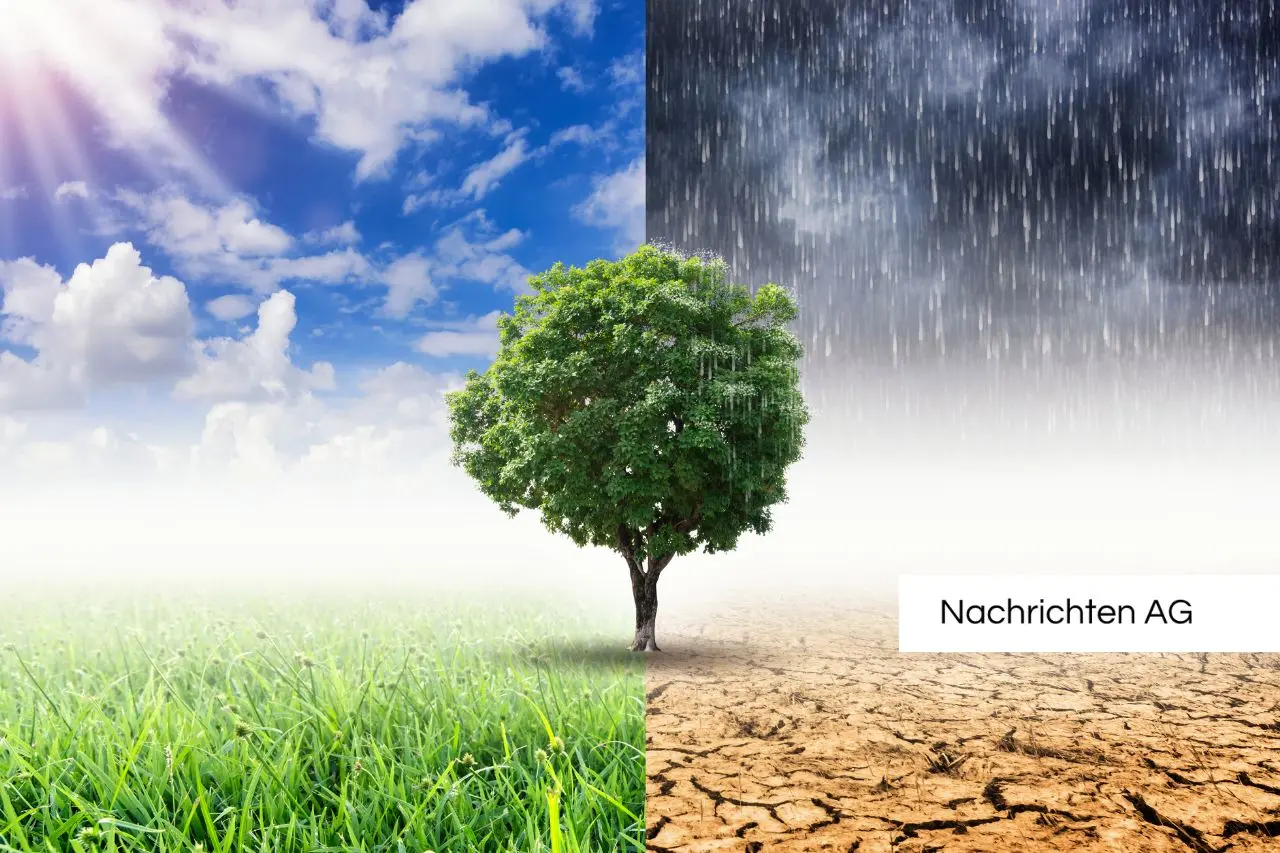 Fridays for Future in Halle: Frustration nach Pandemie und sinkende Zahlen